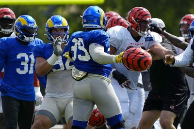 Will Aaron Donald be suspended for swinging helmets at Bengals?