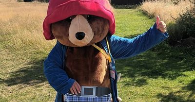 Paddington Bear took on the Dundee KiltWalk to raise money for veterans