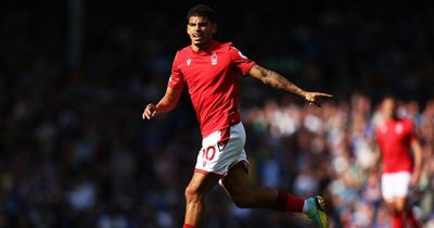 Nottingham Forest injury latest ahead of Tottenham test as Morgan Gibbs-White absence explained