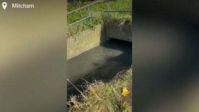 Watch: Horrified woman finds Mitcham stream full of sewage