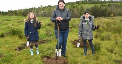 Thousands of trees planted in Glasgow streets as part of 'Clyde Climate Forest'