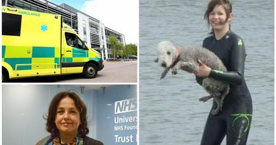 Family fear 'another whitewash' from review into North East Ambulance Service 'cover-ups'