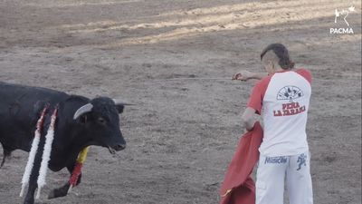 Sick Amateur Bullfighting Festival Where Young Bulls Are Tortured To Death