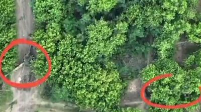 Ukrainian Tank Crews Destroy Russian Artillery Hidden Among Trees