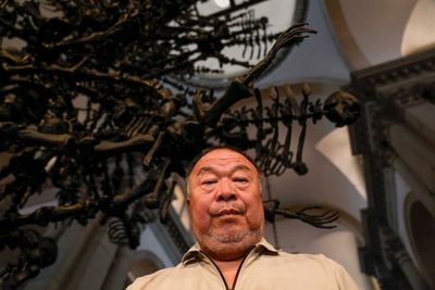 Artist Ai Weiwei warns against hubris in 'troublesome times'