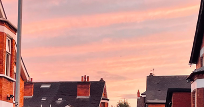 Irishman accidentally captures image of 'UFO' in Belfast while walking his dog