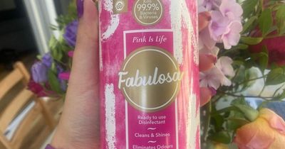 I tried the new 95p 'Pink Is Life' Fabulosa and my kitchen smelt 'summery'