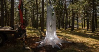 There's a stunning new sculpture in the National Arboretum