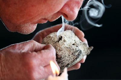 Rare, precious, smells like whale: hunting for ambergris in New Zealand