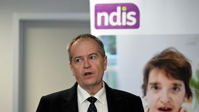 Bill Shorten issues NDIS fraud crackdown warning as woman jailed, another charged