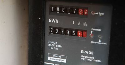 The exact date you should submit your meter readings as new energy price cap announced