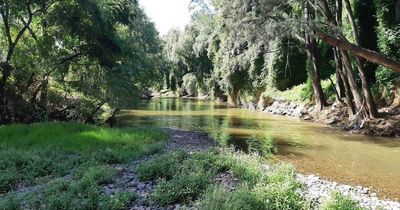 Hunter Beach: Design endorsed for 'enhanced river access' in the heart of Muswellbrook