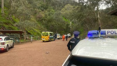 Man dies after falling from cliff at Morialta Conservation Park in Adelaide's north east