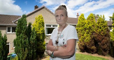 Scots woman terrorised by squirrels in lofts fears rowdy rodents will burn house down