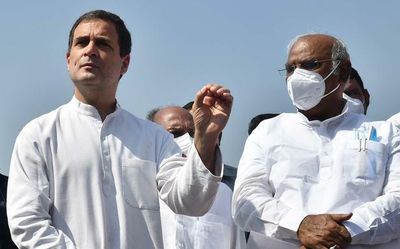We will force Rahul Gandhi to become Congress chief, says Mallikarjun Kharge
