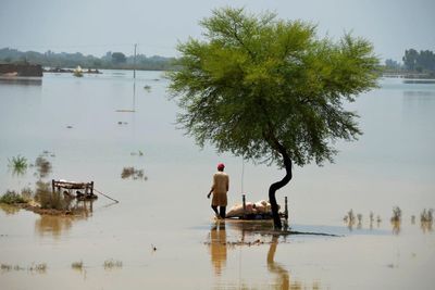 Deaths from flooding in monsoon drenched Pakistan near 1,000