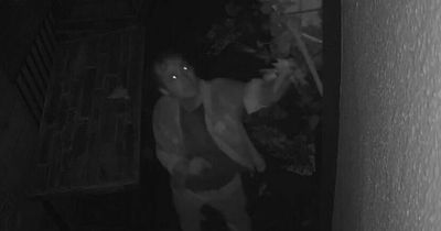 'Drunken idiot' caught on camera destroying Scots restaurant display