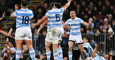 New Zealand beaten by Argentina at home as historic defeat rocks All Blacks