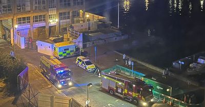 Man dies after falling into River Thames during arrest by police
