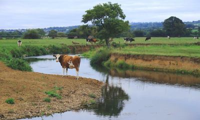 Liz Truss allowed farmers to pollute England’s rivers after ‘slashing red tape’, say campaigners