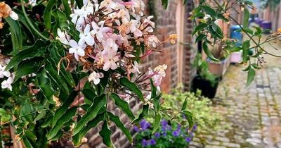 Liverpool entry transformed into beautiful communal space