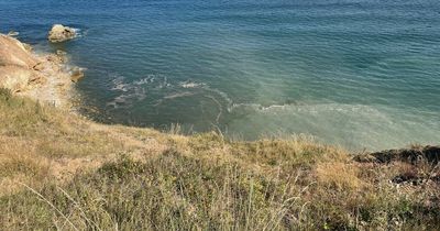 Environment Agency investigating after water pollution spotted in North Sea 'from East Durham to Teesside'