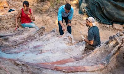 Dinosaur remains in Portuguese garden could be Europe’s largest ever find