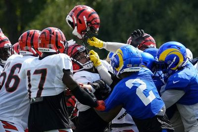 18 stunning photos from the Bengals-Rams practice brawl