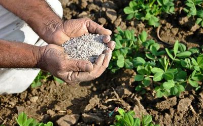 Explained | What is the Centre’s ‘One Nation One Fertilizer’ policy?
