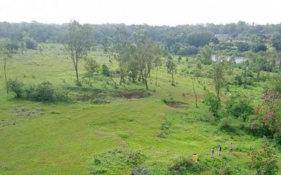 Thanks to elusive leopard, 22 schools have remained shut in Belagavi