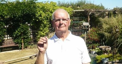 Man and gold ring are reunited after strawberry patch loss half a century ago