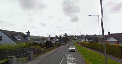 Man, 20s, dies following horror hit and run in Co Antrim