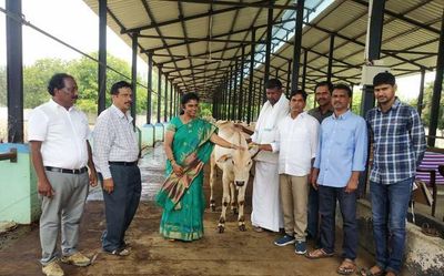 Farmers roped in for germ plasm improvement in Ongole