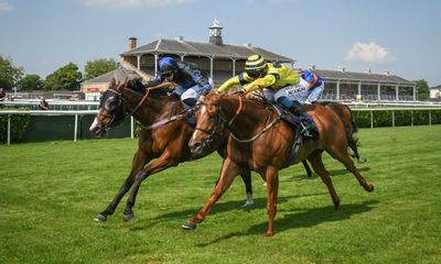Talking Horses: Broctune Red can get punters off to a flier at Beverley