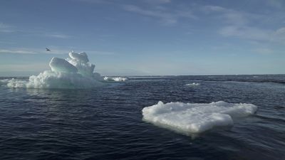 U.S. to name ambassador-at-large for the Arctic