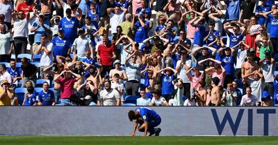 'Someone's spreading lies' — Steve Morison clarifies latest Cardiff City injury concern and gives fresh transfer update