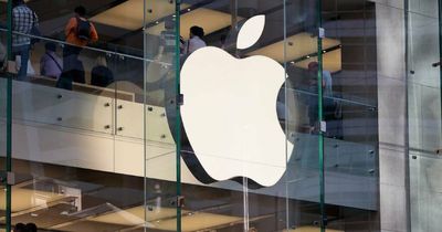 'Hey, look at me': Burglar boasted about $60k Apple store heist in 'rap' video