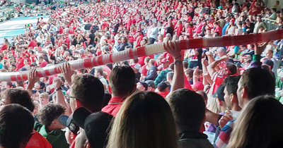 Aviva Stadium fans make huge beer snake out of cups after free pint pandemonium