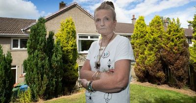 Woman terrorised by squirrels she fears are going to cause a fire in her home