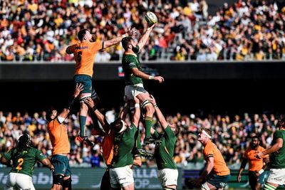 Frustrated South Africa vow to learn lessons from Wallabies loss