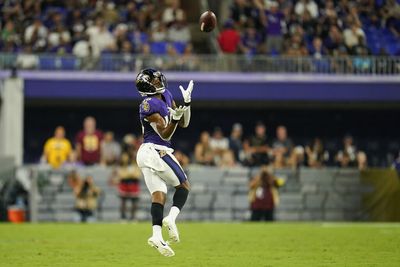 Ravens WR Demarcus Robinson finds end zone on 67-yard catch