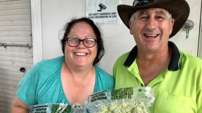 Lime farmers invent zesting machine, saving fruit, time and their business