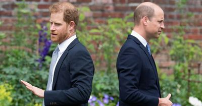 Warring Prince William and Harry to spend 25th anniversary of Diana's death apart