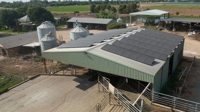 Renewables and solar as a source of reliable power increases on Australian farms, as farmers share the load