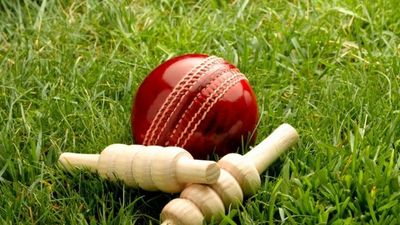 High hopes for cricket season in Albury-Wodonga, Wangaratta as numbers and events grow