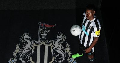 Pundit shares key fear over Newcastle United's record signing Alexander Isak