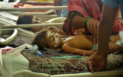 Japanese Encephalitis claims 85 lives in Assam in 2 months