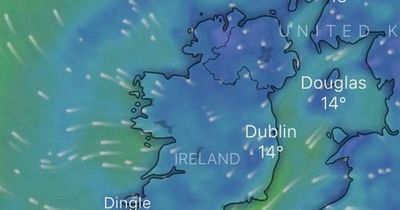 Met Eireann forecast dry and sunny week but warn of potential heavy showers for Electric Picnic