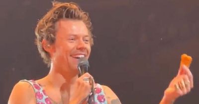 Harry Styles amused as concertgoer throws a chicken nugget at him and asks for it back