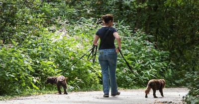 The rules 'most dog walkers will not be aware' could cost them £1,000 for breaking